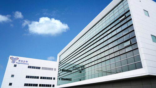 2019上海區域經濟觀察 新舊動能轉換關鍵期,新興產業步入 起飛通道